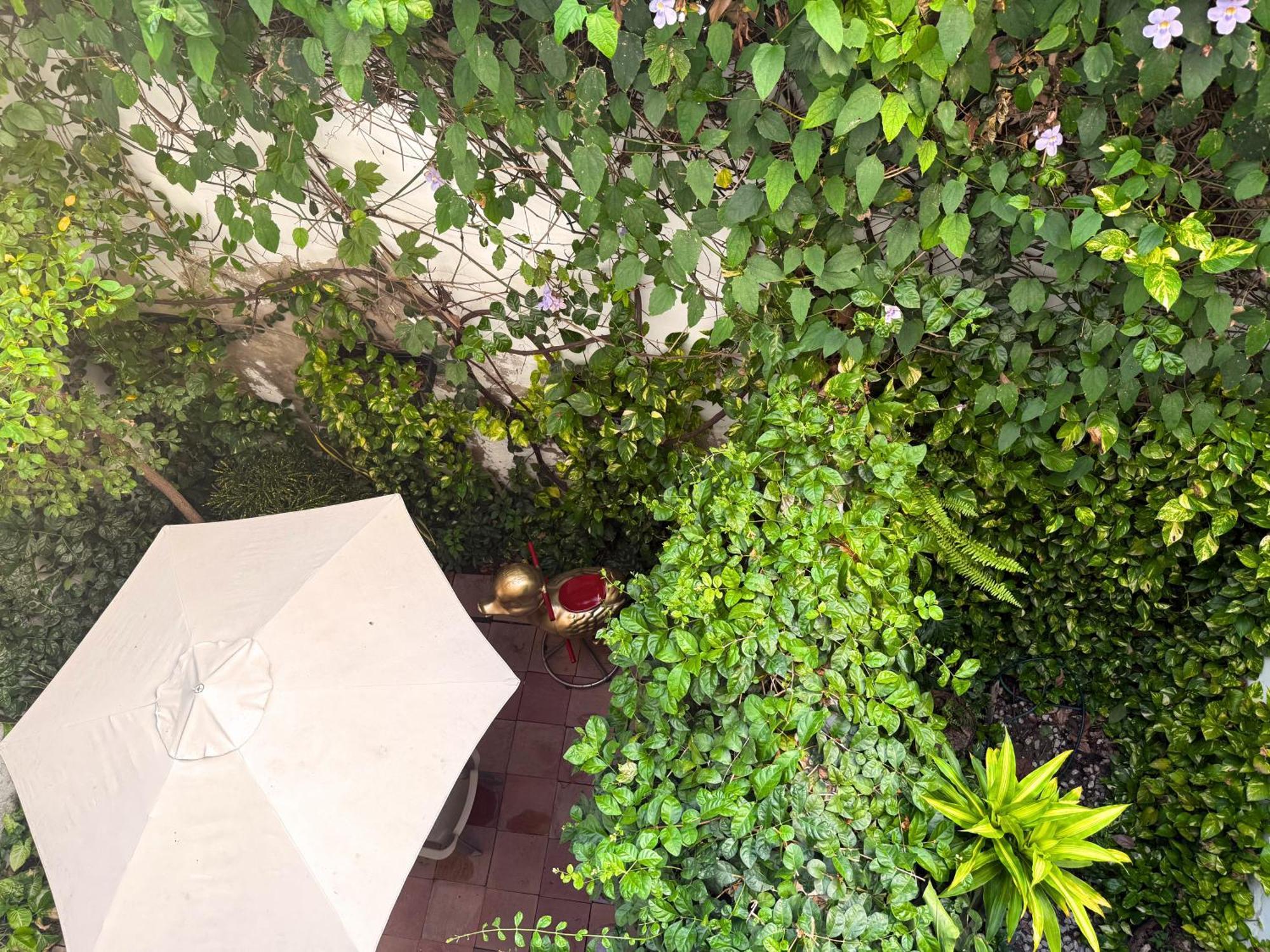 Casa Bugambilia - Alma Hotels Santa Marta  Zewnętrze zdjęcie